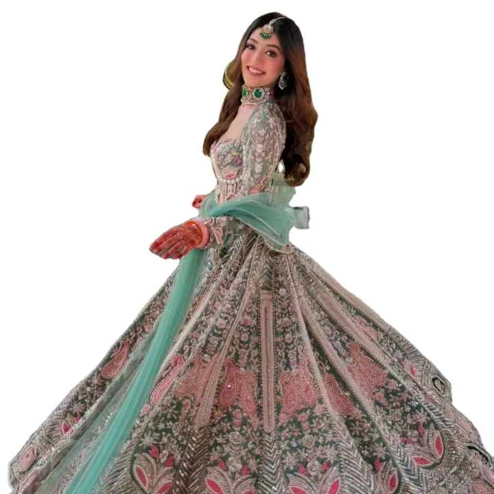 Latest Pakistani Ethnic Style Net Acetate Bridal Lehenga Choli Indian Women's Party Wedding Dress