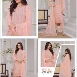 Pakistani Dress - WA0014