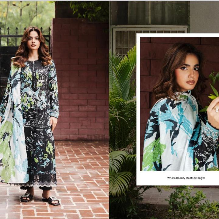 Pakistani Dress - WA0033